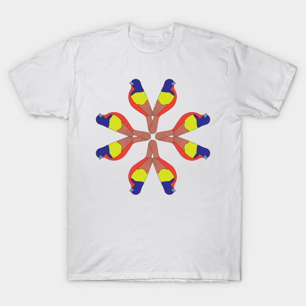 wheel of painted buntings T-Shirt by Feathered Finds